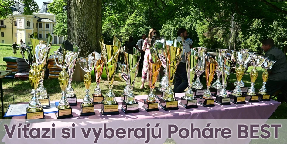 Trofeje, športové poháre a medaily pre každé podujatie | Poharebest.sk