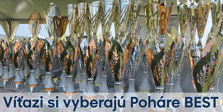 Trofeje, športové poháre a medaily pre každé podujatie | Poharebest.sk