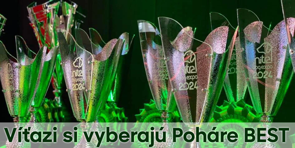 Trofeje, športové poháre a medaily pre každé podujatie | Poharebest.sk