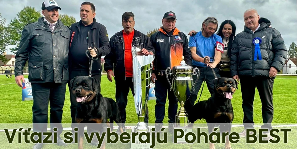Trofeje, športové poháre a medaily pre každé podujatie | Poharebest.sk