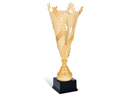 Športový pohár pre víťazov 