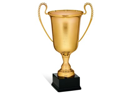 Športový pohár 6024