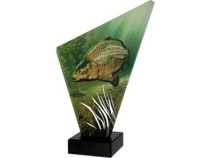 glass trophy fishing carp