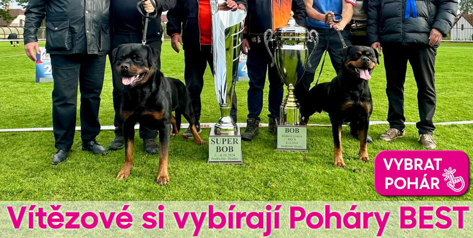 Trofeje, sportovní poháry a medaile pro každou akci | Poharybest.cz