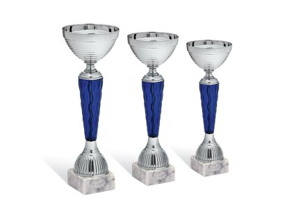 2815 sada sportovych pohar pre vitazov
