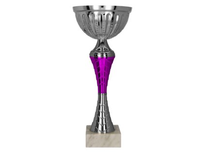 6012 sportovy pohar 9273