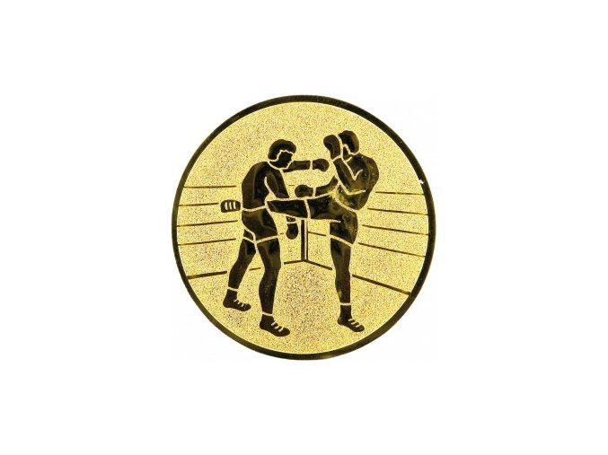 Emblém kickbox,thaibox