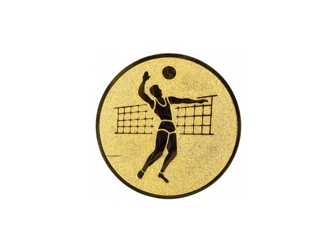 Emblém volejbal muž