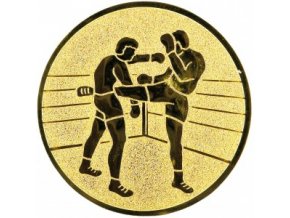 Emblém kickbox,thaibox