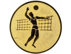Emblém volejbal muž
