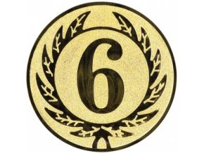 Emblém číslice 6