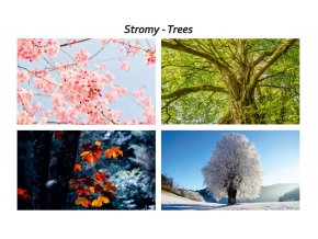 stromy