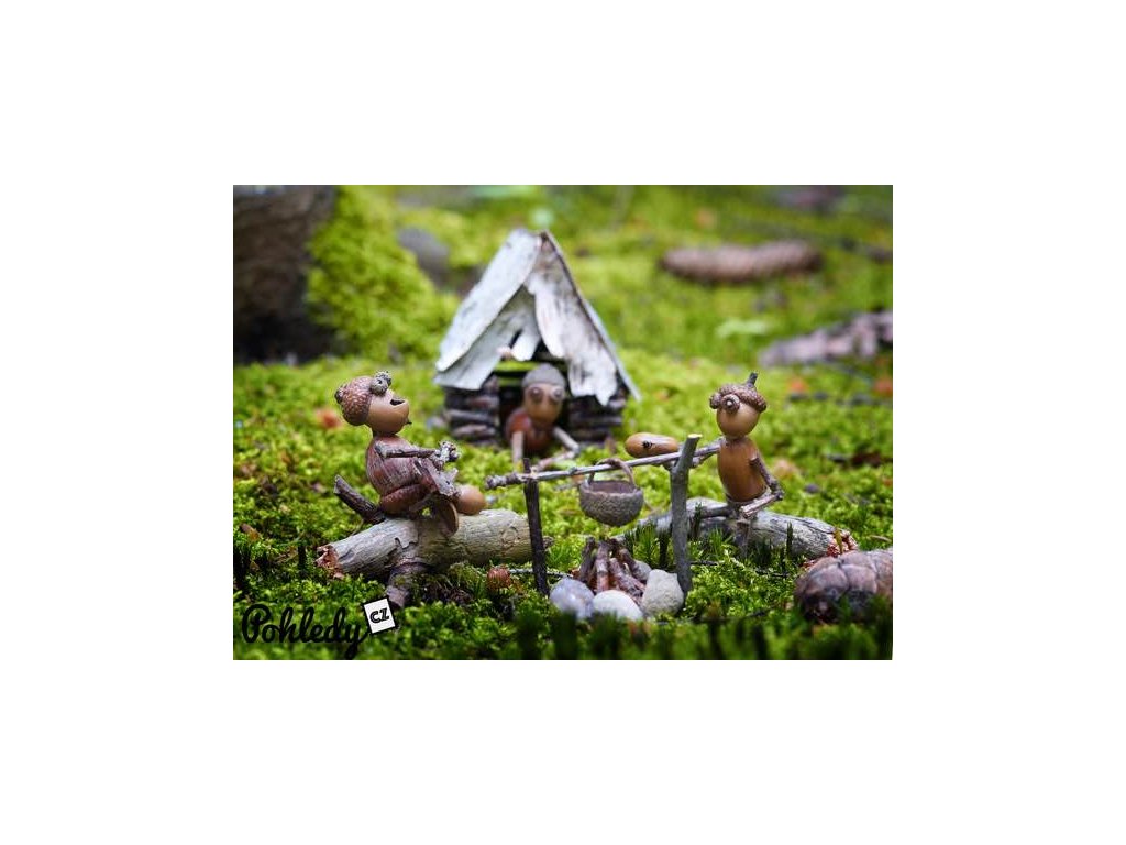 Pohlednice na tábor