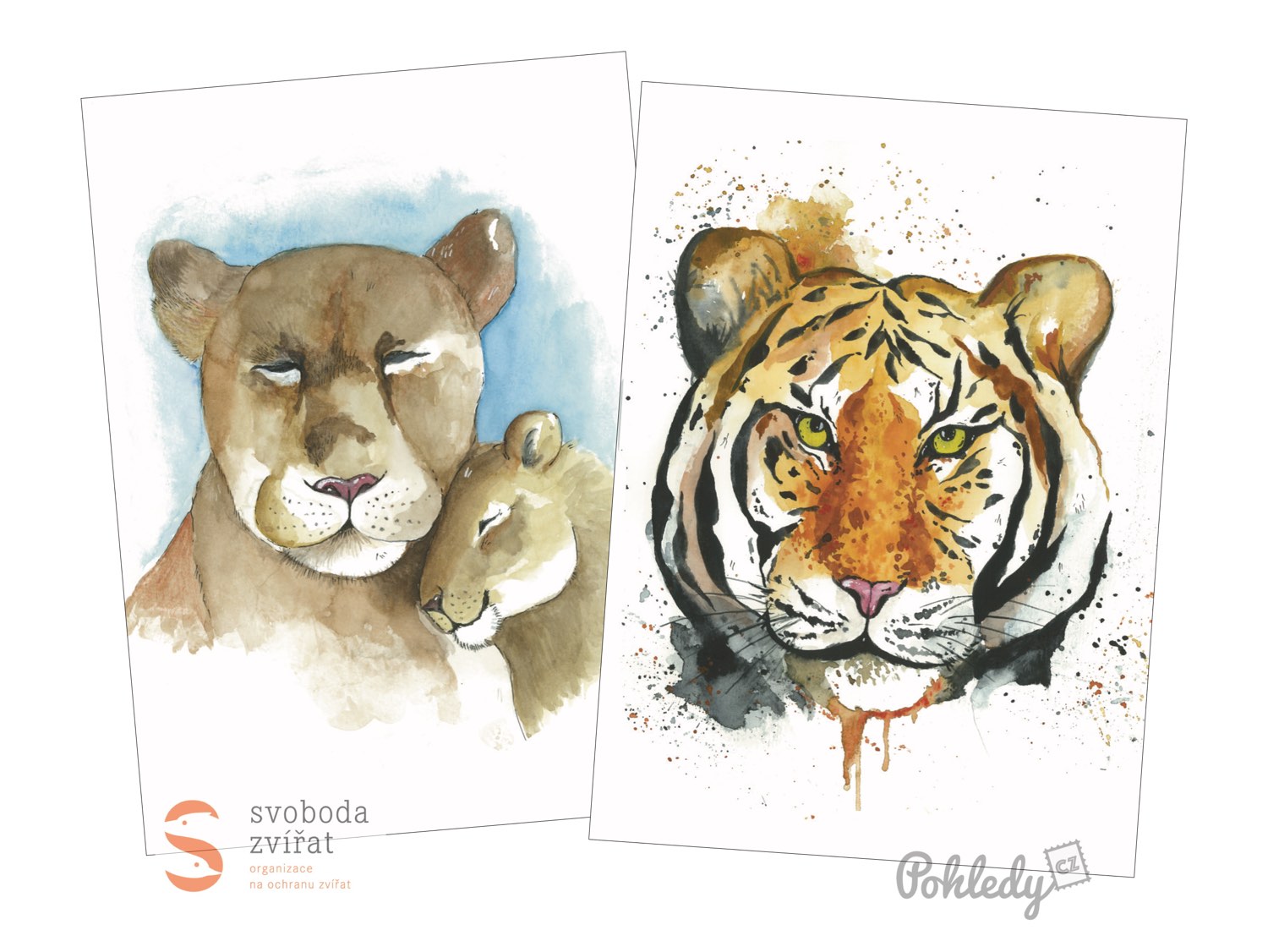 Pohledy, které pomáhají