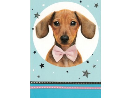 Pohlednice Pejsek s motýlkem