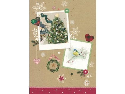 Pohlednice Vánoční stromek