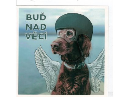 Přání s obálkou - Buď nad věcí - pejsek