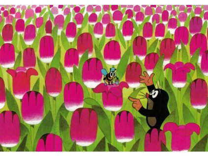 Pohlednice Krteček mezi tulipány