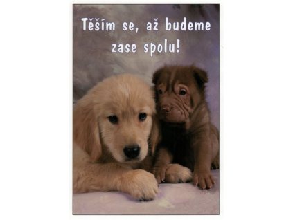 Pohlednice Těším se....