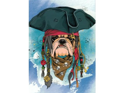 Pohlednice Pejsek pirát