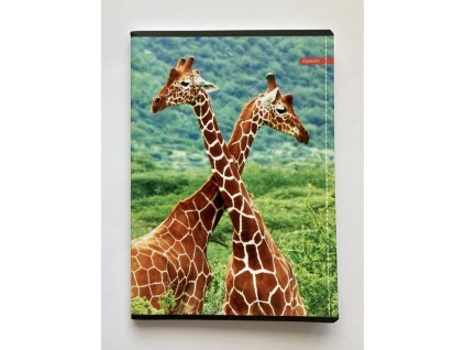 Sešit A5 Wild Life - žirafy