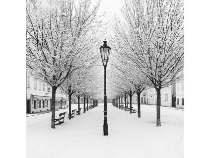 Pohlednice Narnie (Kampa)