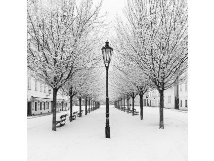 Pohlednice Praha Kampa