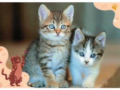 Pohlednice Koťata 102