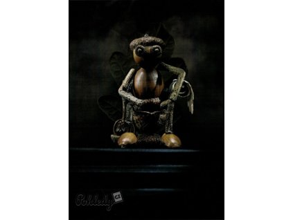 Pohlednice Dubánek na trůnu