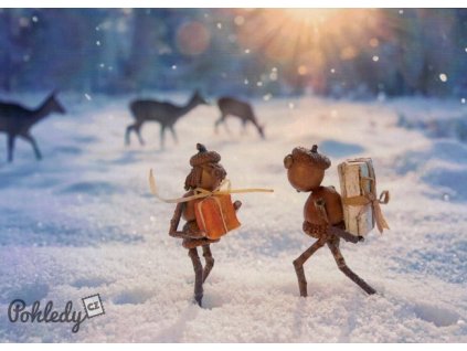 Pohlednice Dubánčí Vánoce