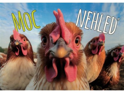 Pohlednice Moc nehleď