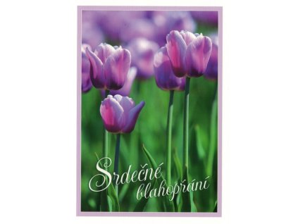 Pohlednice Srdečné blahopřání - tulipány