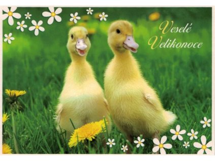 Pohlednice Veselé Velikonoce 5