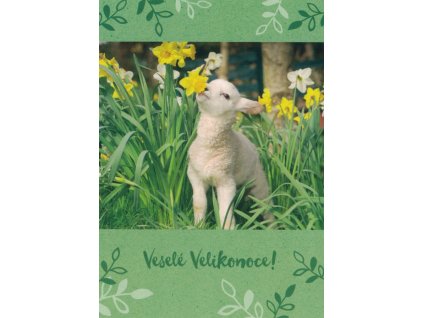Pohlednice Veselé Velikonoce 15