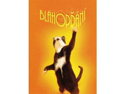 Pohlednice Blahopřání 4