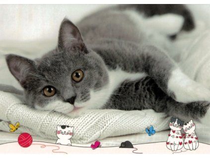 Pohlednice Kočka 13