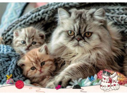 Pohlednice kočka 19