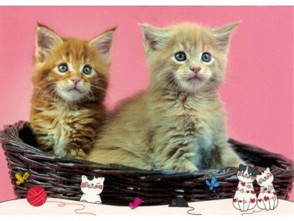 Pohlednice kočka 21