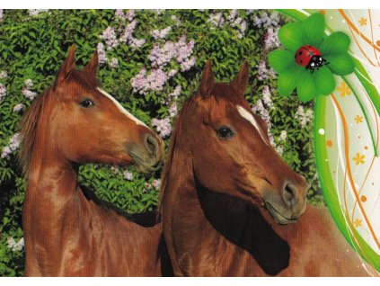 Pohlednice koně 28