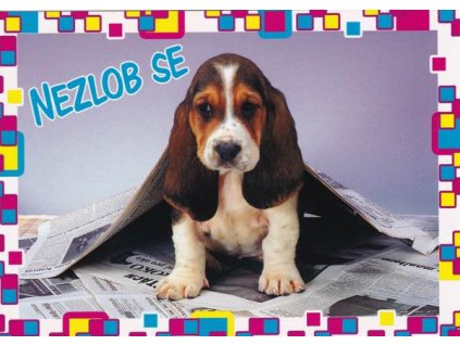Pohlednice Pejsek s omluvou