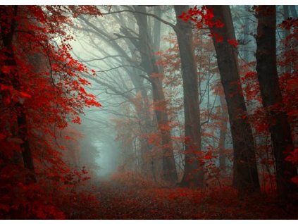 Pohlednice Andělé na naší cestě