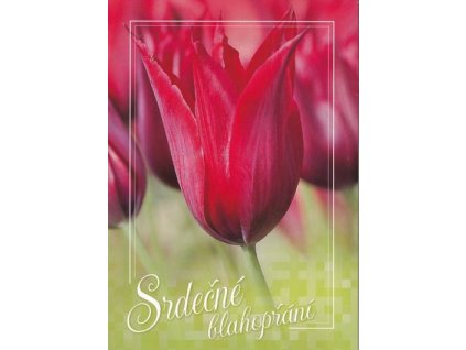 Pohlednice Blahopřání tulipán