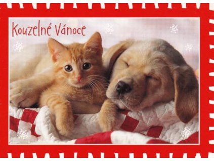 Pohlednice Kouzelné Vánoce