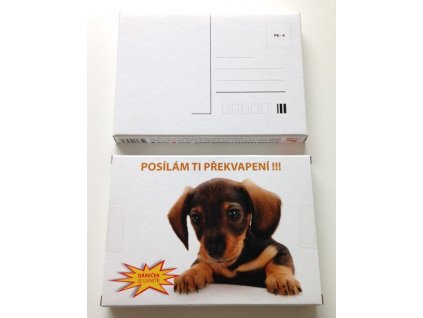 Pohlednice s překvapením (děvče)