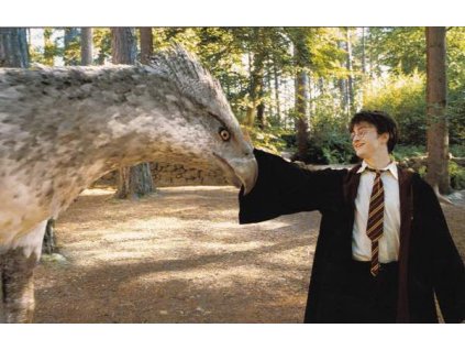 Pohlednice Harry Potter 28