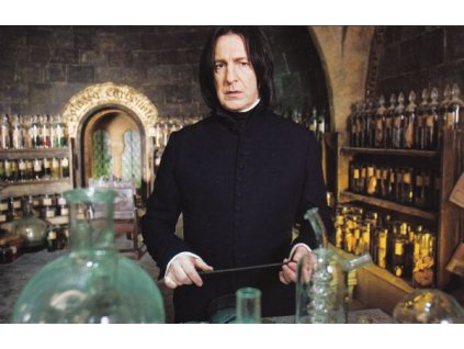 Pohlednice Harry Potter 57