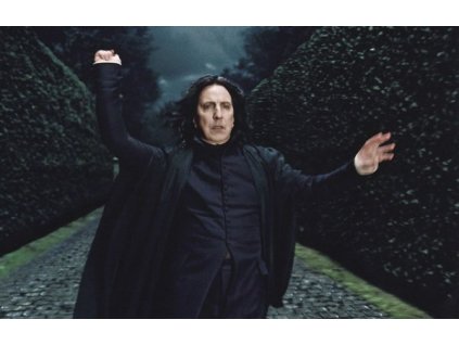 Pohlednice Harry Potter 73