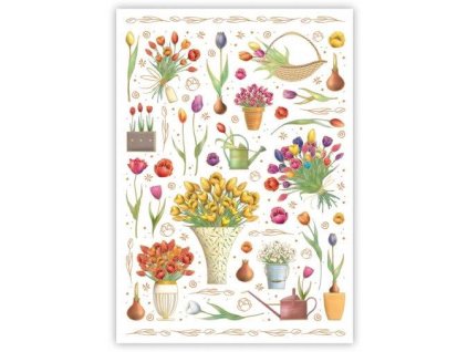 Pohlednice Tulipány