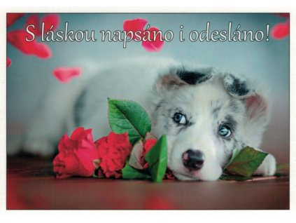 Pohlednice S láskou...