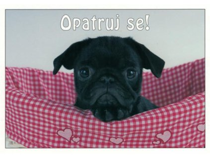 Pohlednice Opatruj se!